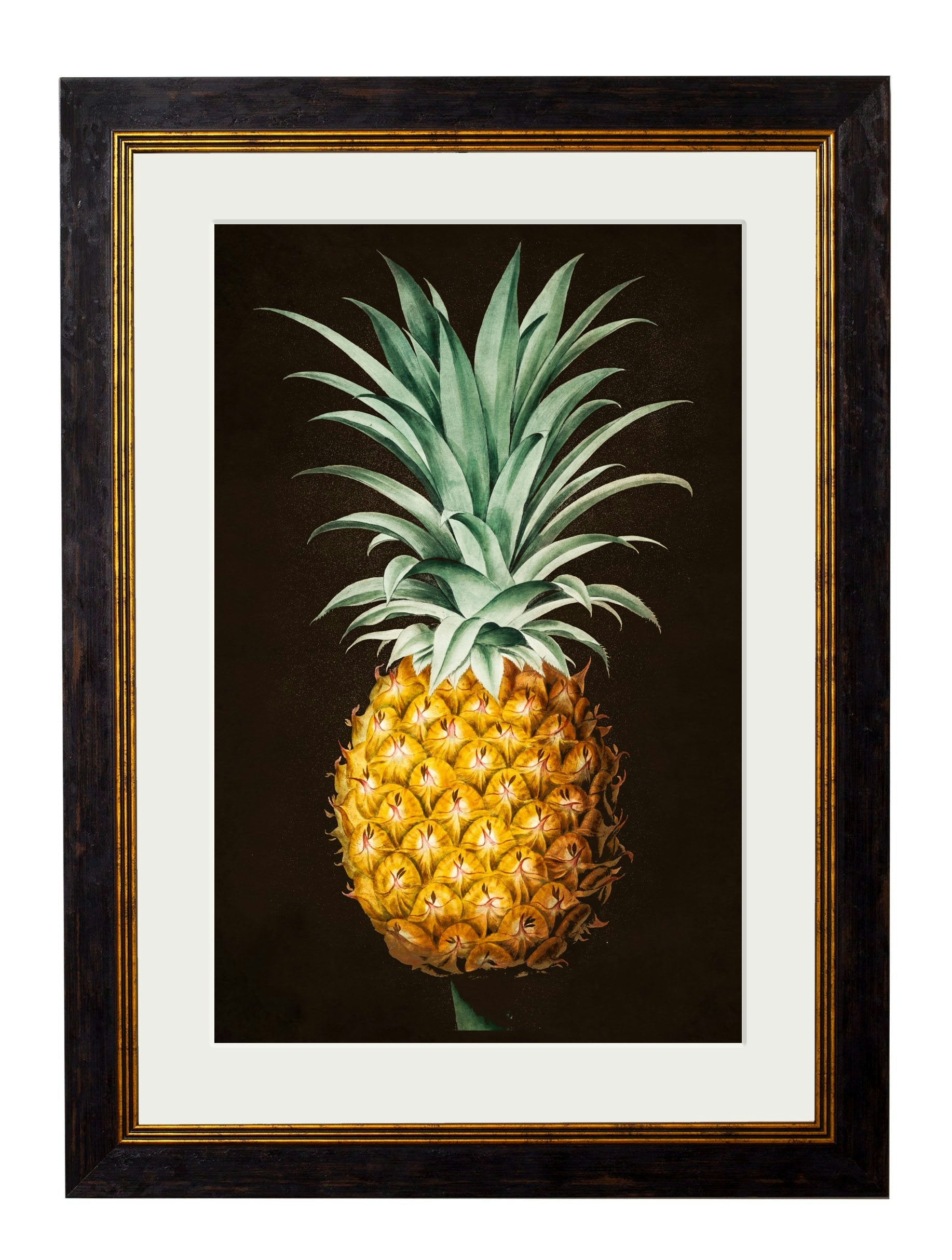 Rackhams Black C.1812 Pineapple Study (Black) - 70 X 95Cm - With Mount