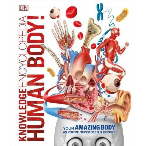 Dk Knowledge Encyclopedia Human Body