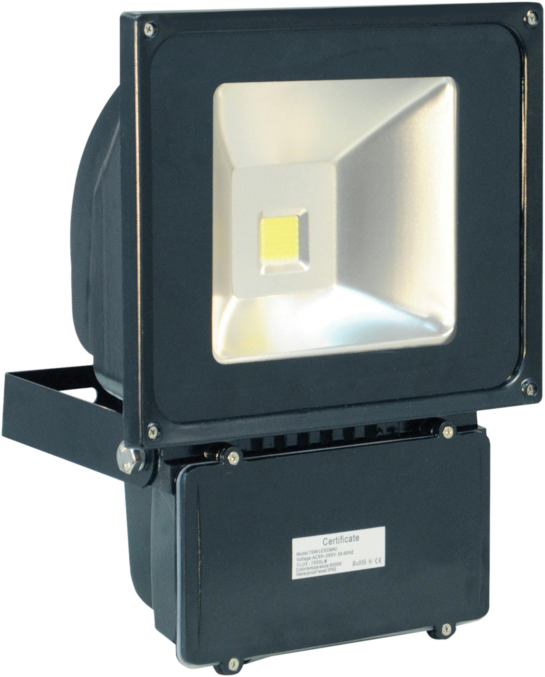 Eagle Light 70W Led Flood