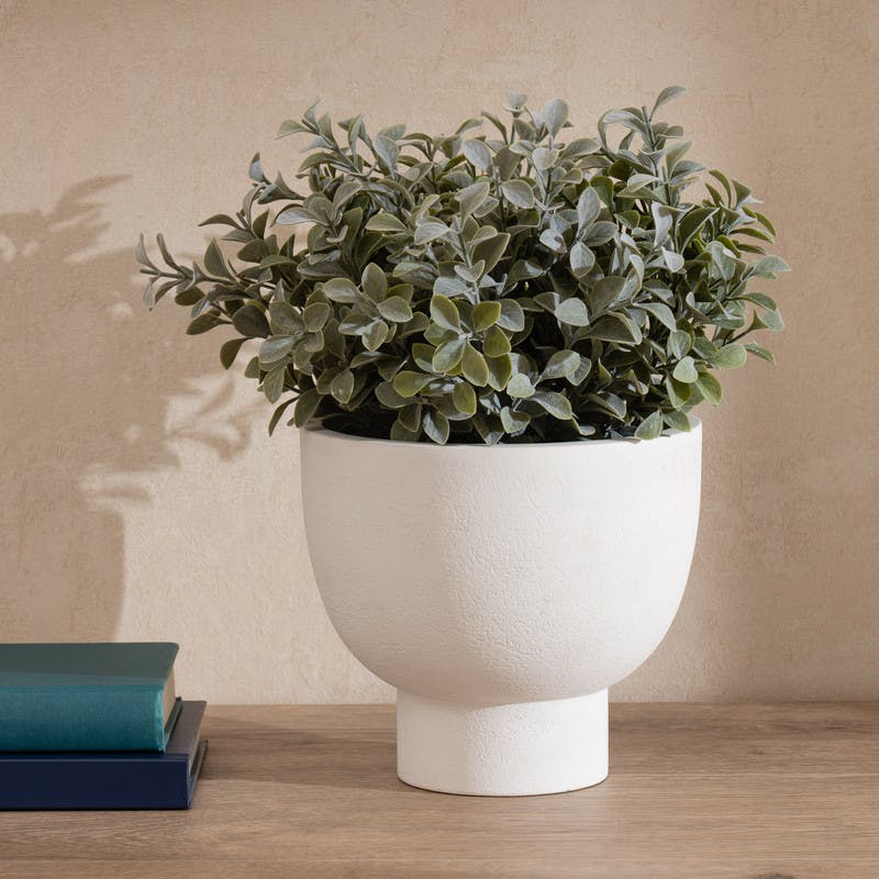 Scottish Everlastings Green/White 37Cm Foliage In Footed Pot
