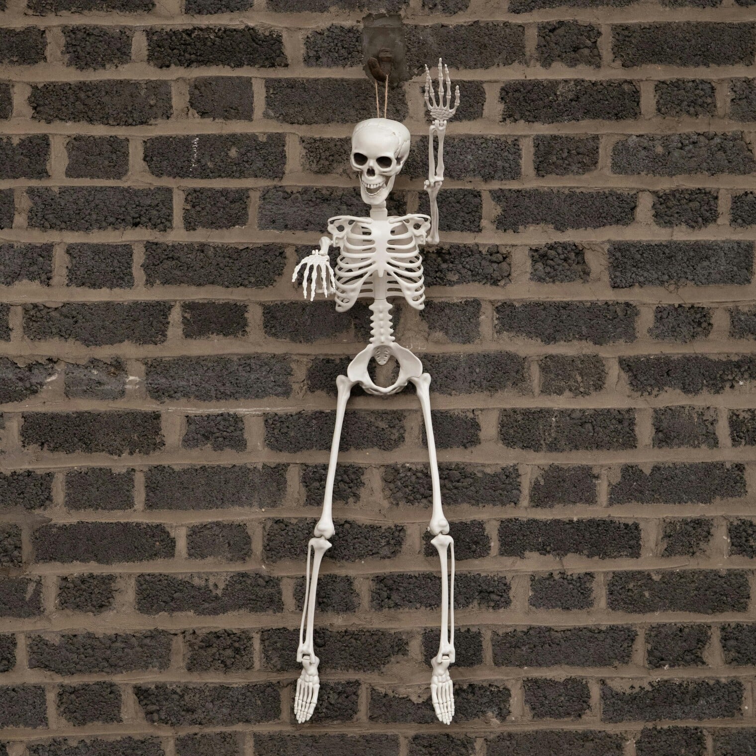 Samuel Alexander 3-Pack 3Ft Posable Halloween Skeleton Decorations - Image 6