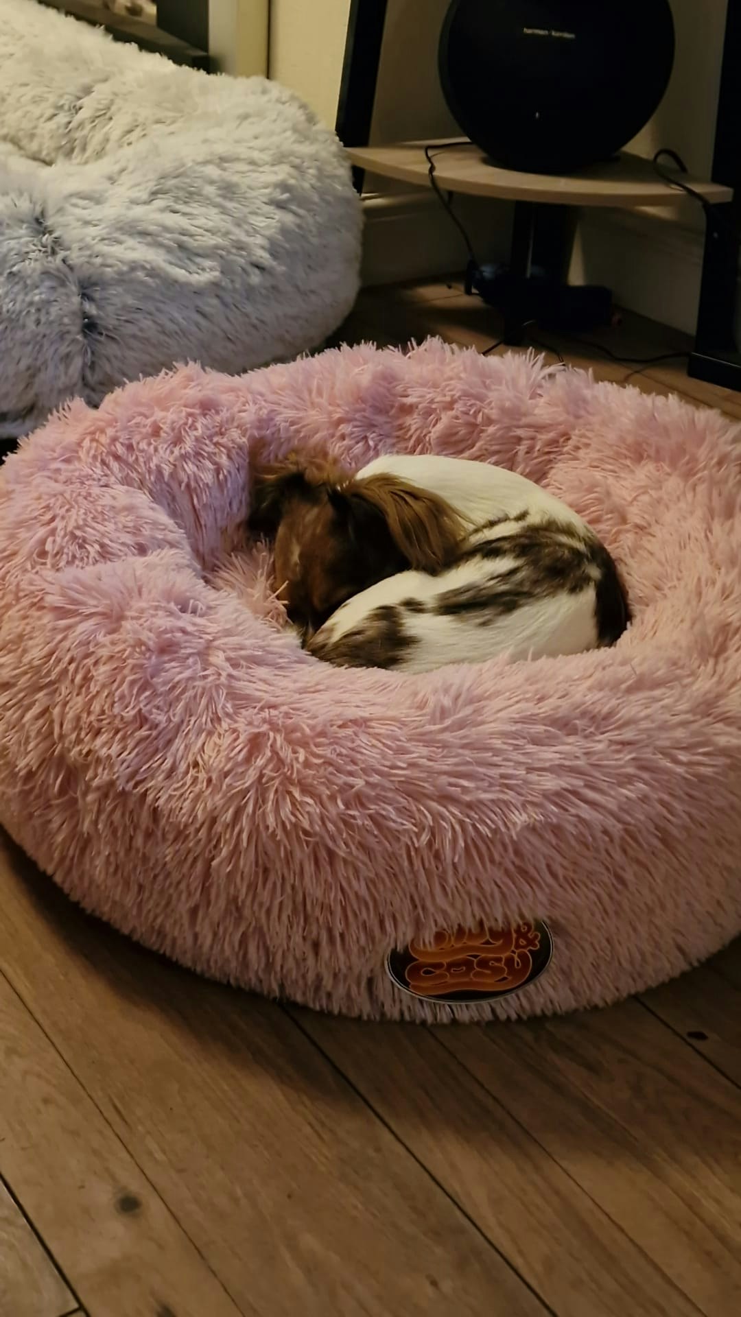 Snug And Cosy Pets Pink Anti Anxiety Donut Pet Bed - M - 90Cm