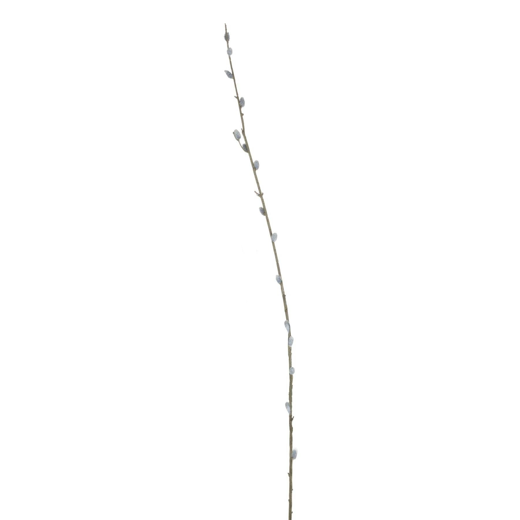 Hill Interiors Brown/Green Faux Pussy Willow Branch - 103Cm