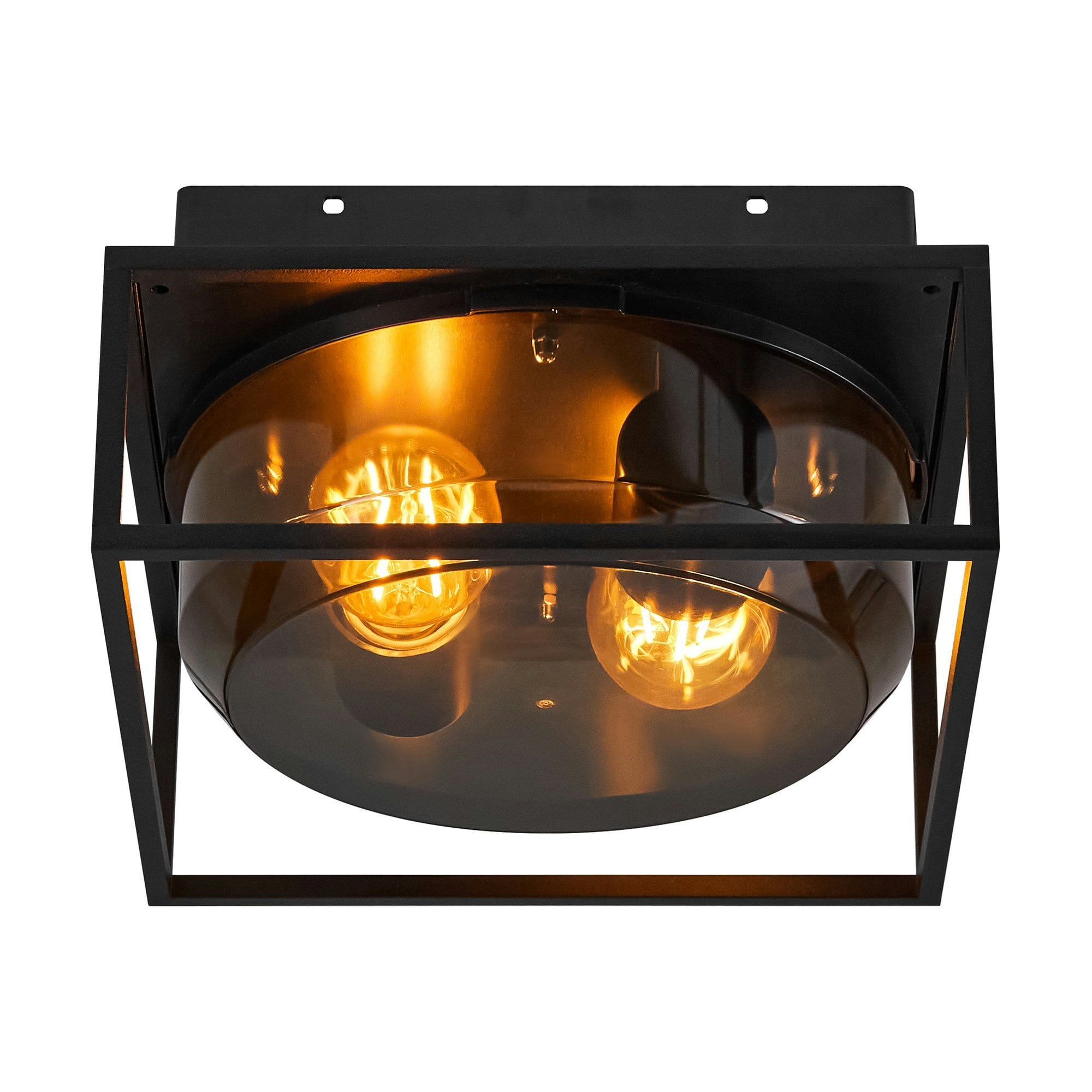 Rackhams Light Griffin | Ceiling | Smoked - 1