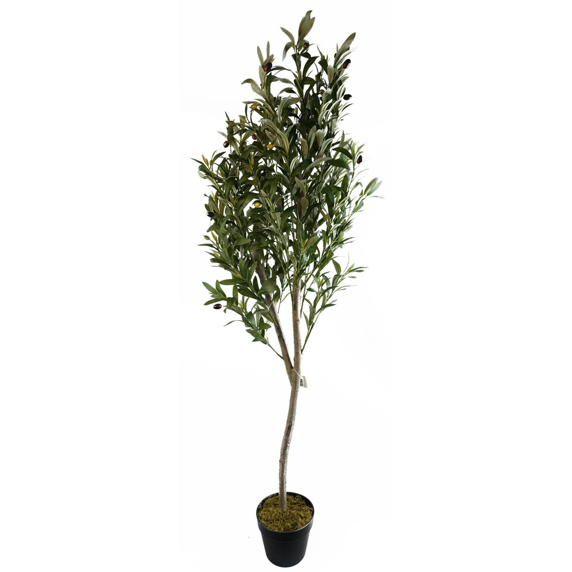 Leaf Light Artificial Olive Tree Faux Silk Lifelike Leaves 180Cm
