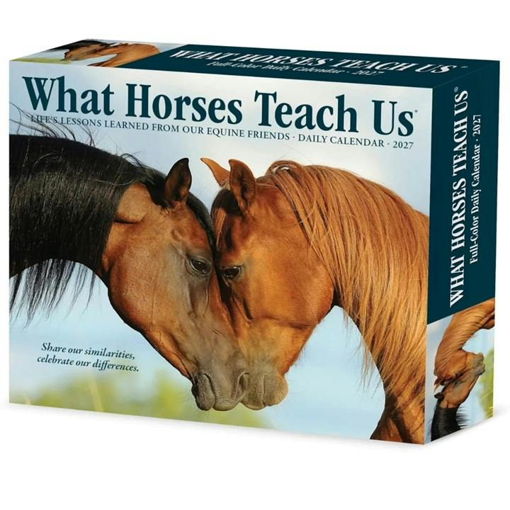 What Horses Teach Us Desk Calendar 2027, Desk Calendars, Day To View, Gift - Image 8
