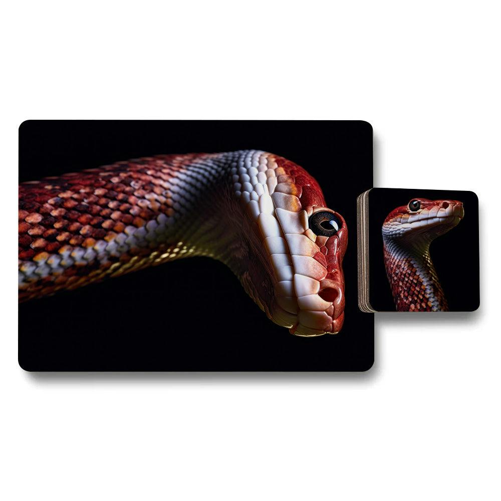 Benjamin Tate Design Set Of 12 Placemats And Coasters Designer Artwork 11X8 And 3.7X3.7 Wood Bottom