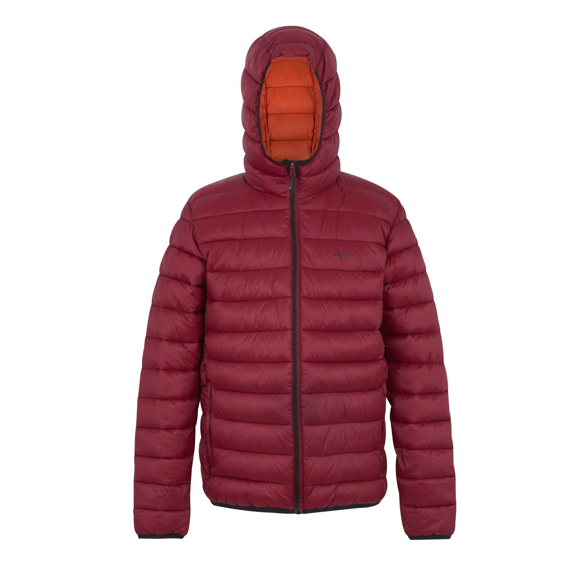 Regatta Men's Dark Marizion Baffled Hooded Padded Jacket - Maroon - S - Maroon - 100% Polyamide