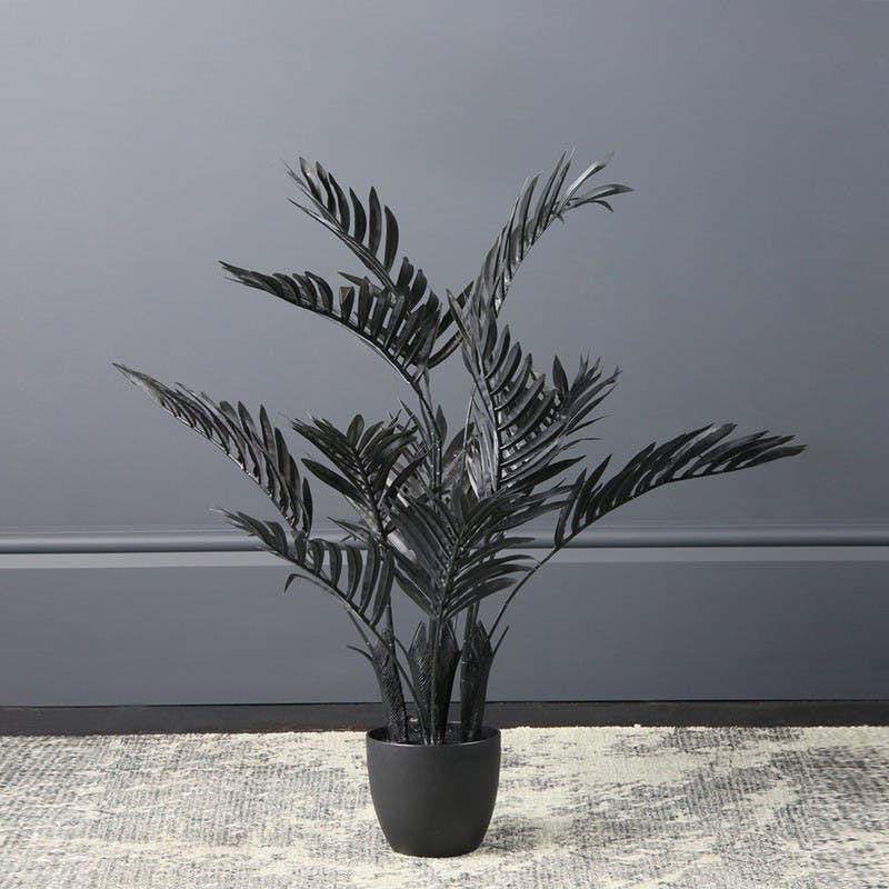 Scottish Everlastings Black 70Cm Real Touch Areca Palm