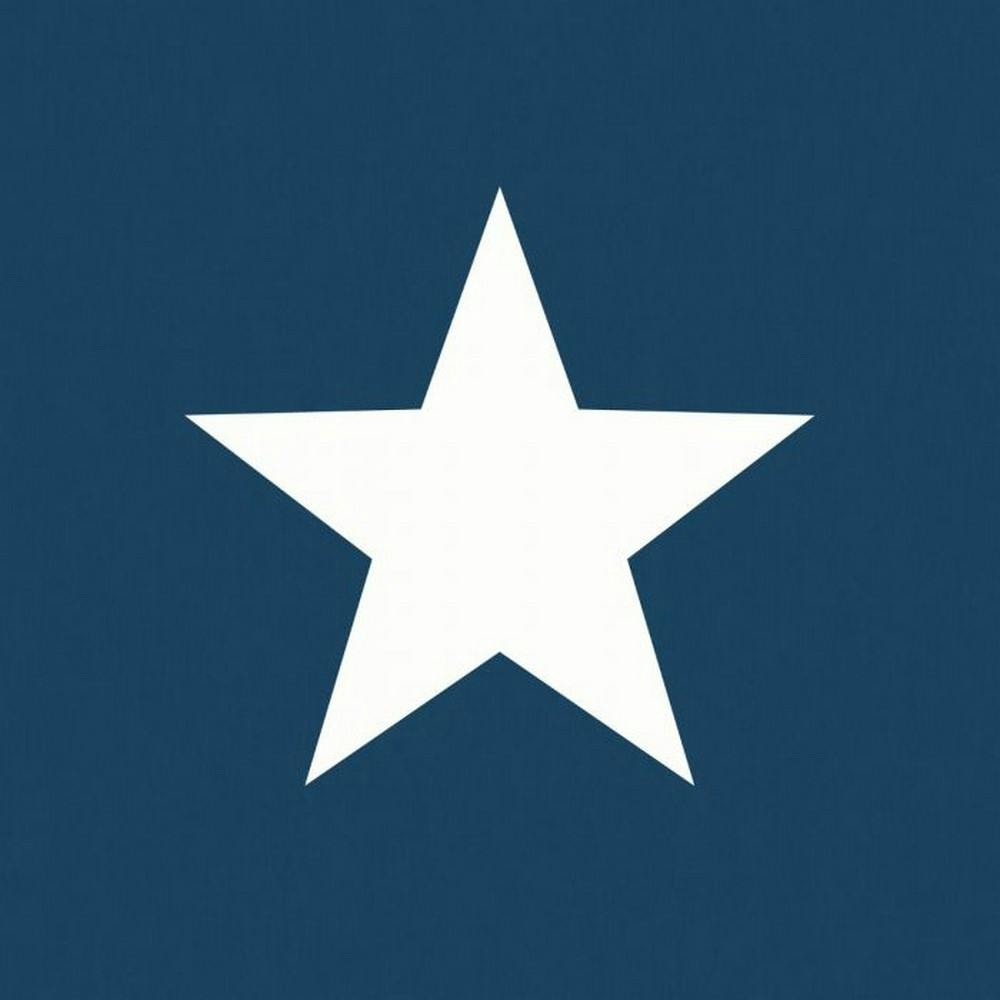 Rackhams White Star Wallpaper - Navy/ - Navy/ - 32.1Ft X 21In - 100% Mixed