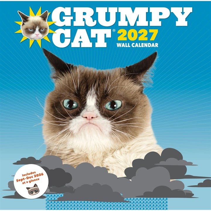 Grumpy Cat Calendar 2027 - Image 6