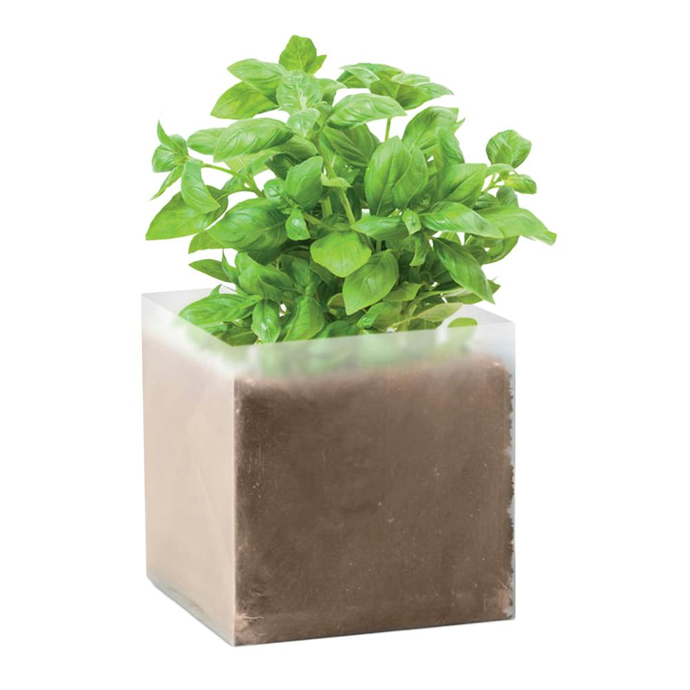 Rackhams Beige Basil Basil Seeds - One Size