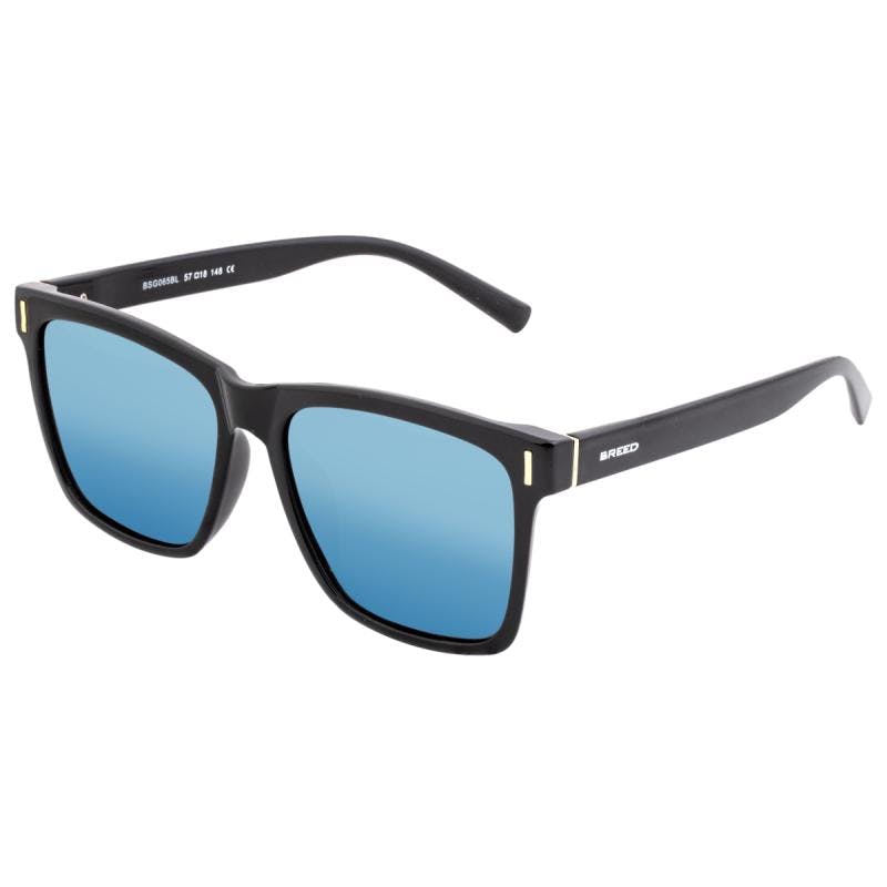 Breed Black/Blue Pictor Polarized Sunglasses