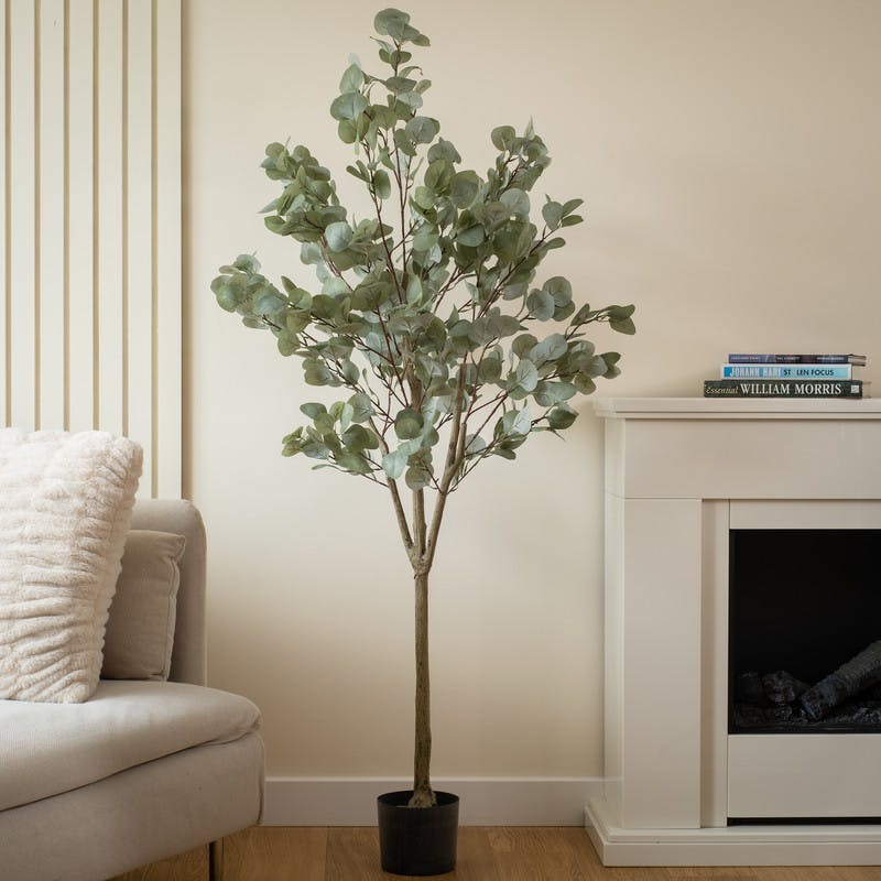 Scottish Everlastings Green 150Cm Eucalyptus Tree