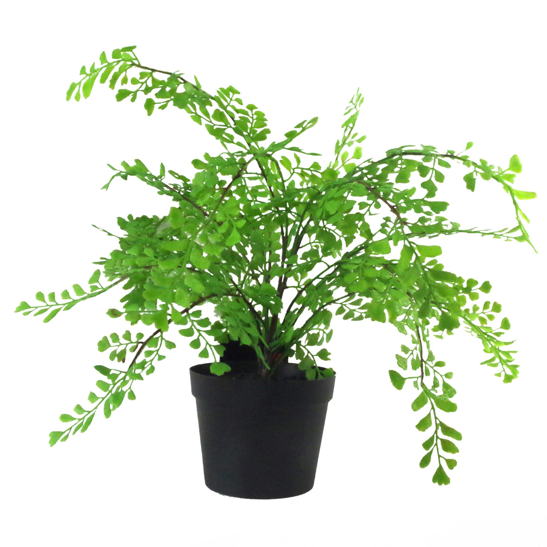 Leaf Green Artificial Potted Fern Plant (Southern Maidenhair Fern) - - - 35Cm