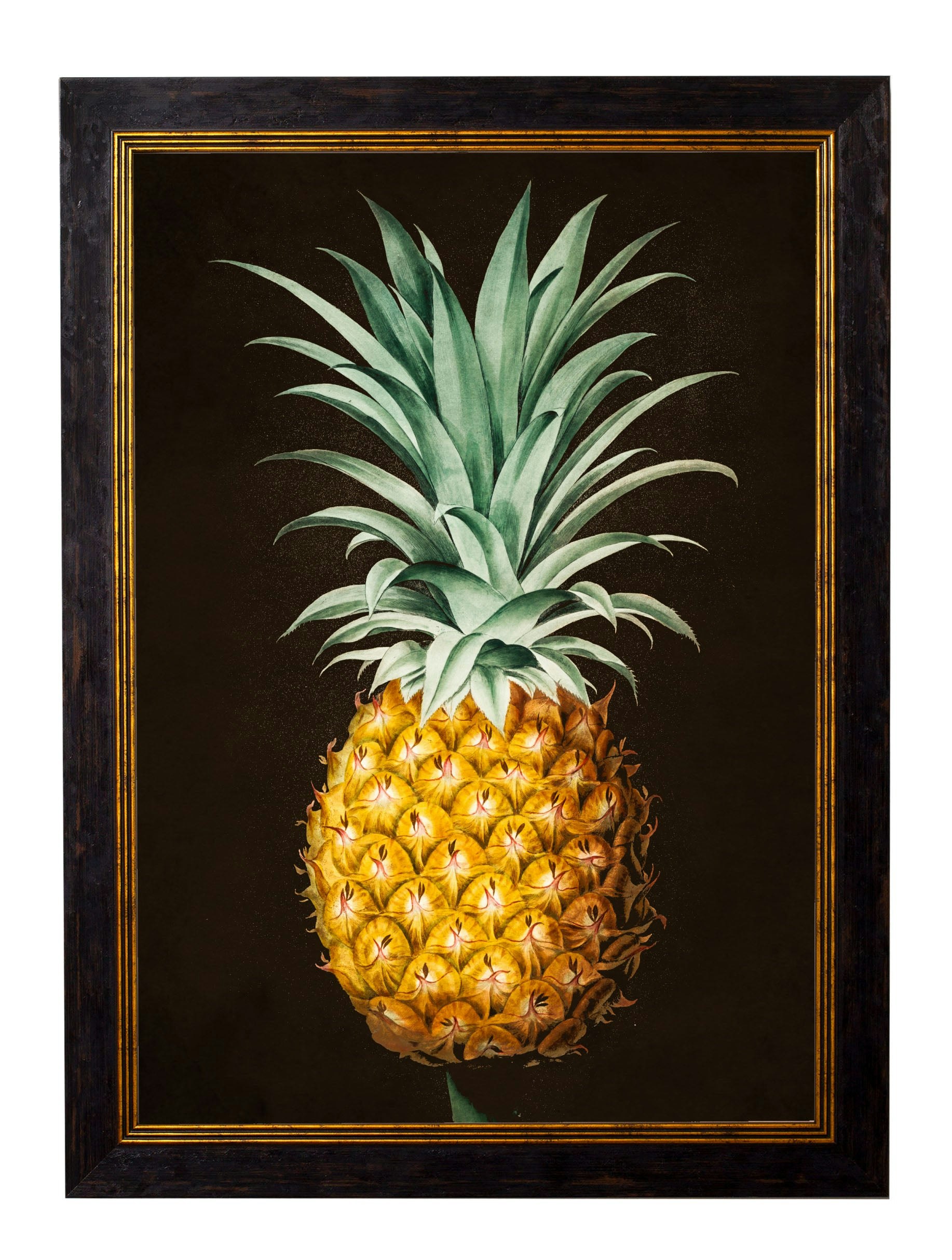 Rackhams Black C.1812 Pineapple Study (Black) - 50 X 70Cm - No Mount