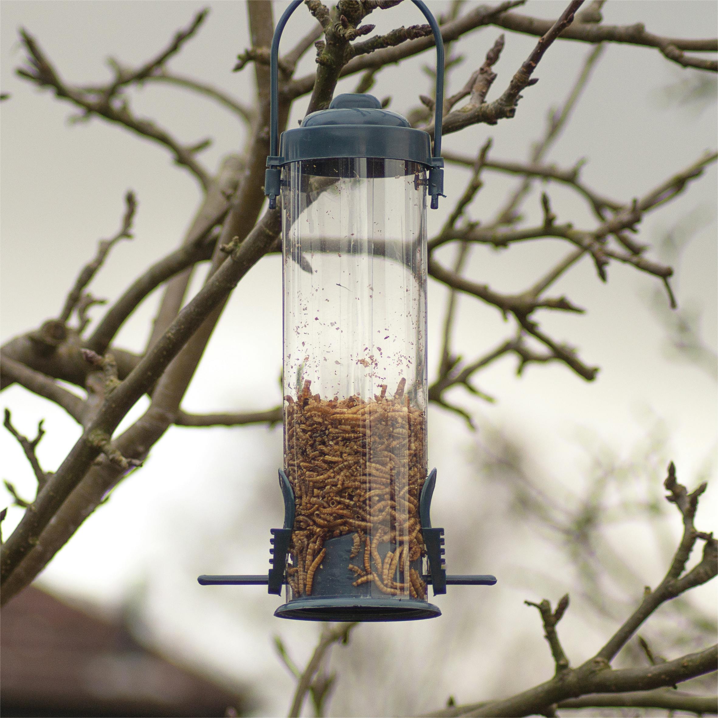 Rackhams Hanging Bird Feeder