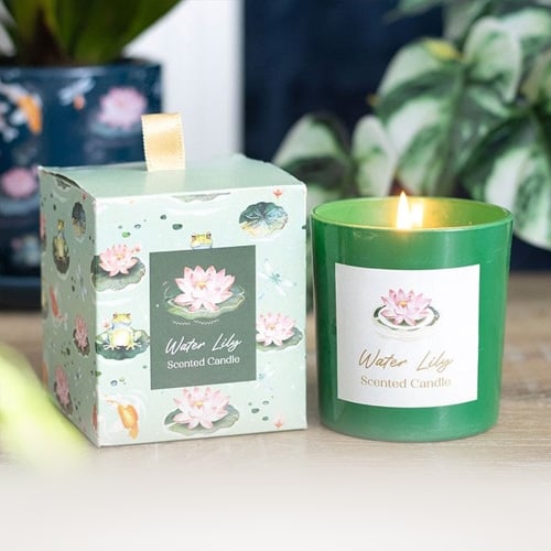 Candles & Home Fragrance