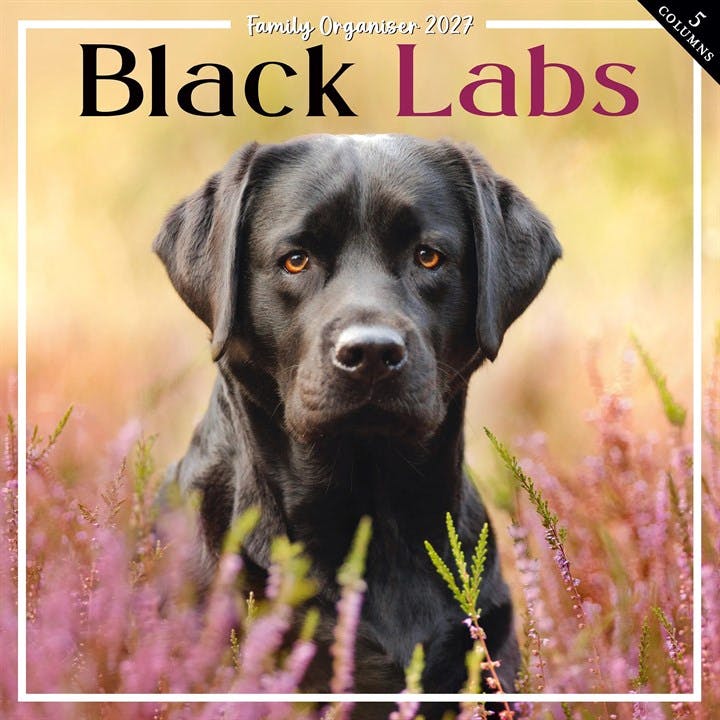 Black Labs Family Organiser 2027, Family Planners, Month To View, Dogs, Gift - Image 3