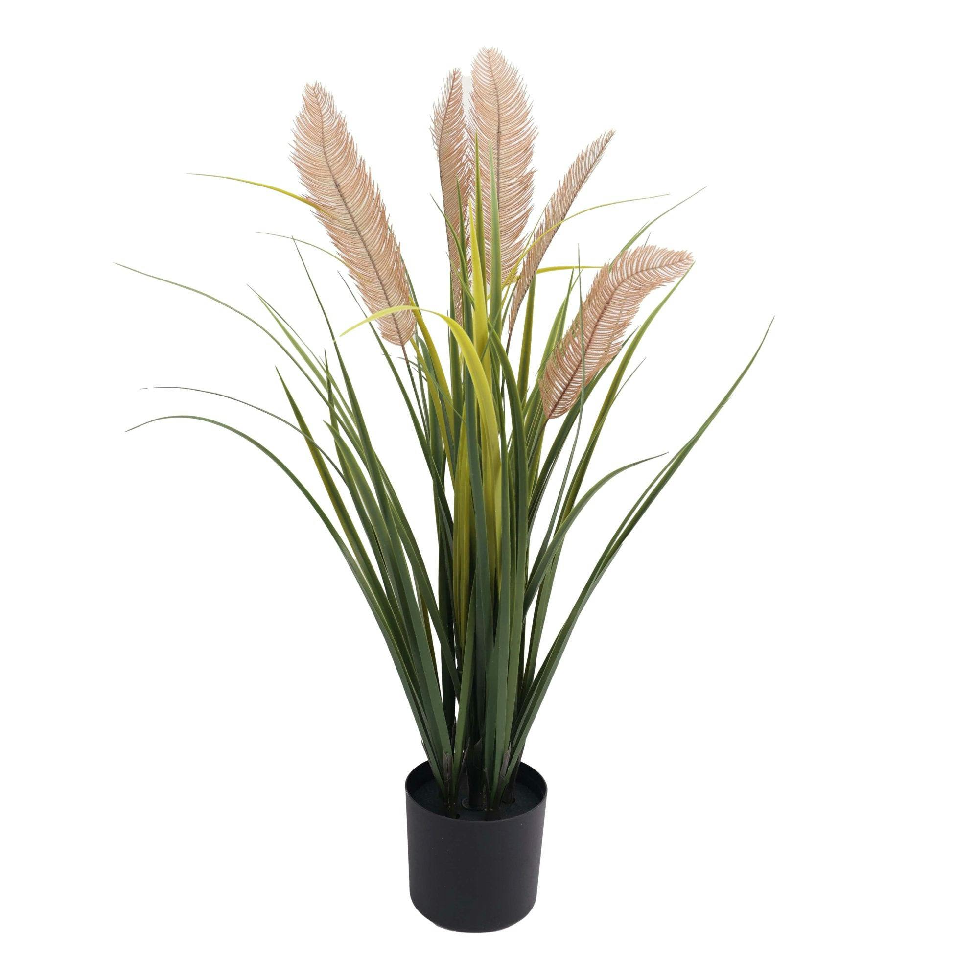 True Products Green Pampas Grass Plant Uv Protected - 90Cm