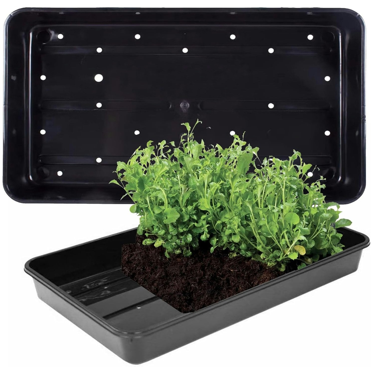 Rackhams Plastic Heavy Duty Seed Trays With Strong Rim For Extra Rigidity Ideal For Gardens & Greenhouses - 6 X