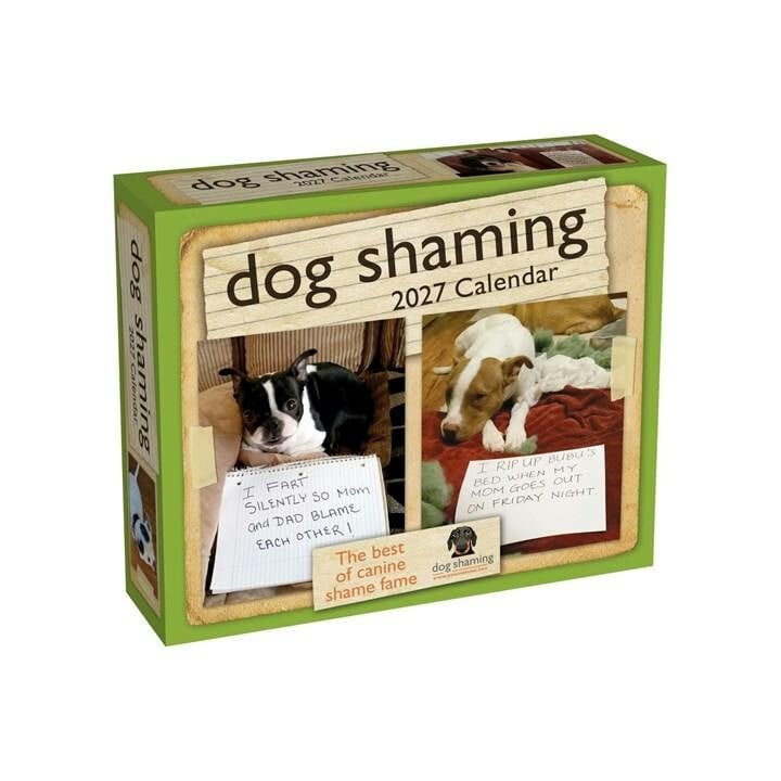 Dog Shaming 2027 Daytoday Calendar - Image 7