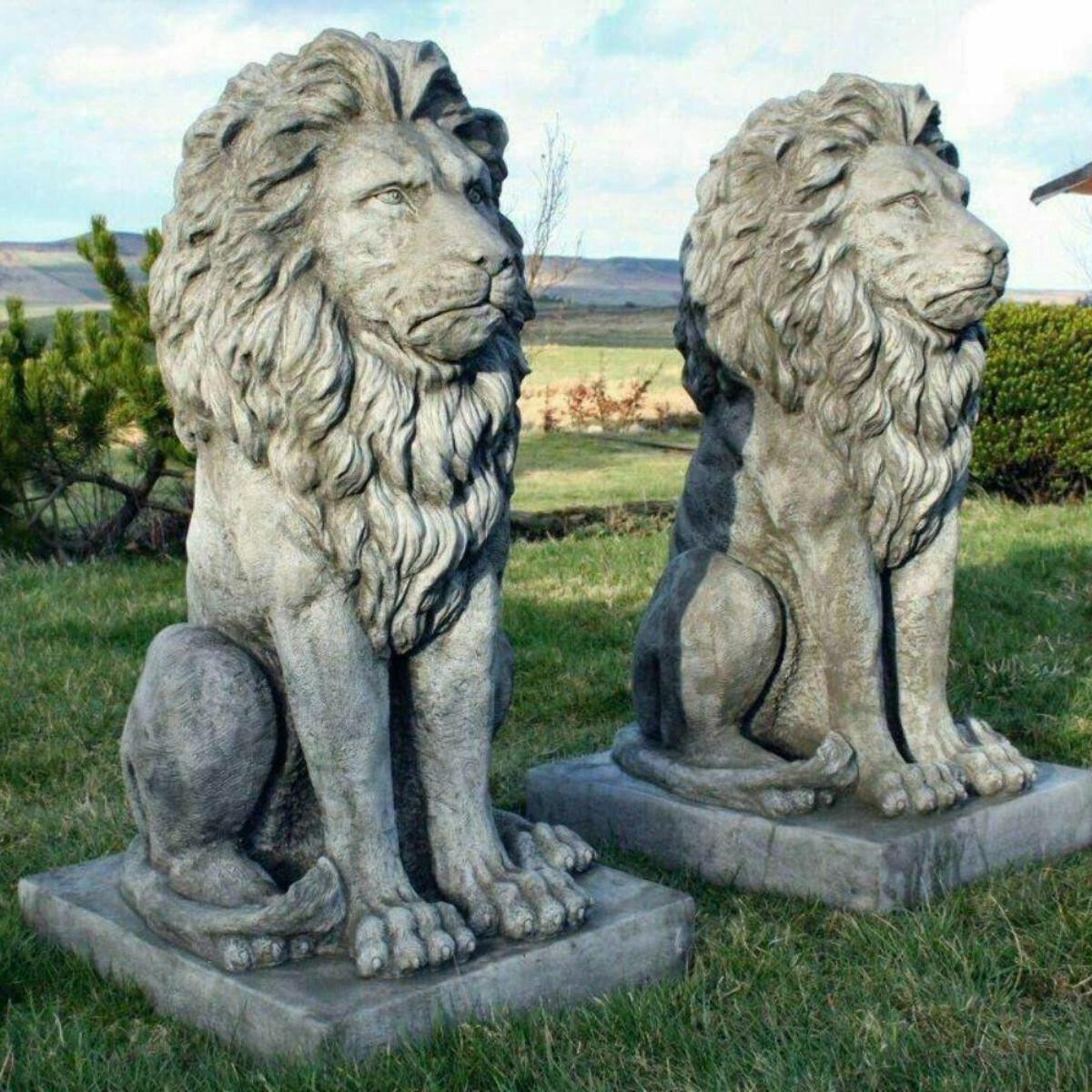 Osn Pair Of Stunning Large Sitting Lion Statues