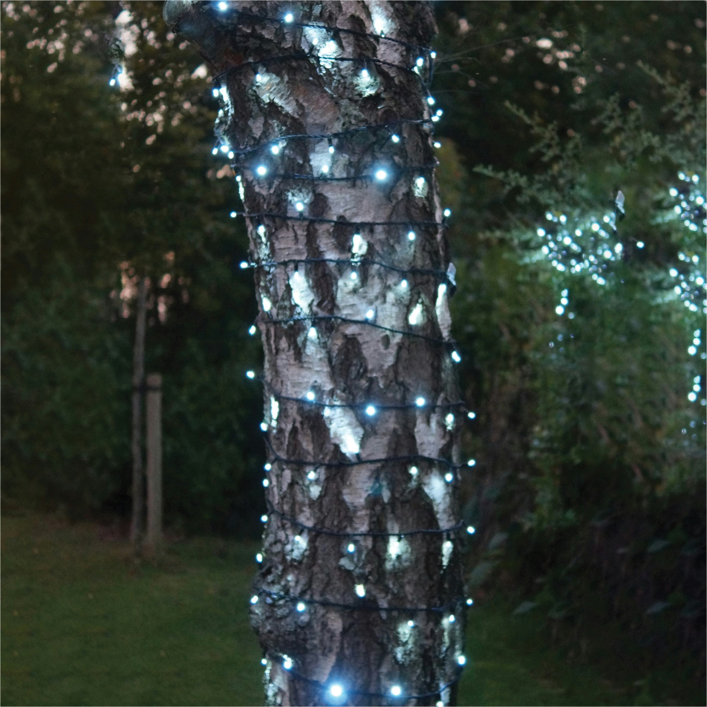 Rackhams Black/White String Lights Rubber Ip65 10M/80 Led Cool