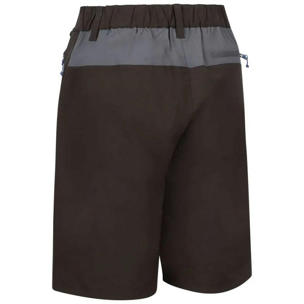 Trespass Women's Quest Shorts - Peat - Peat - S - 88% Polyamide/12% Elastane