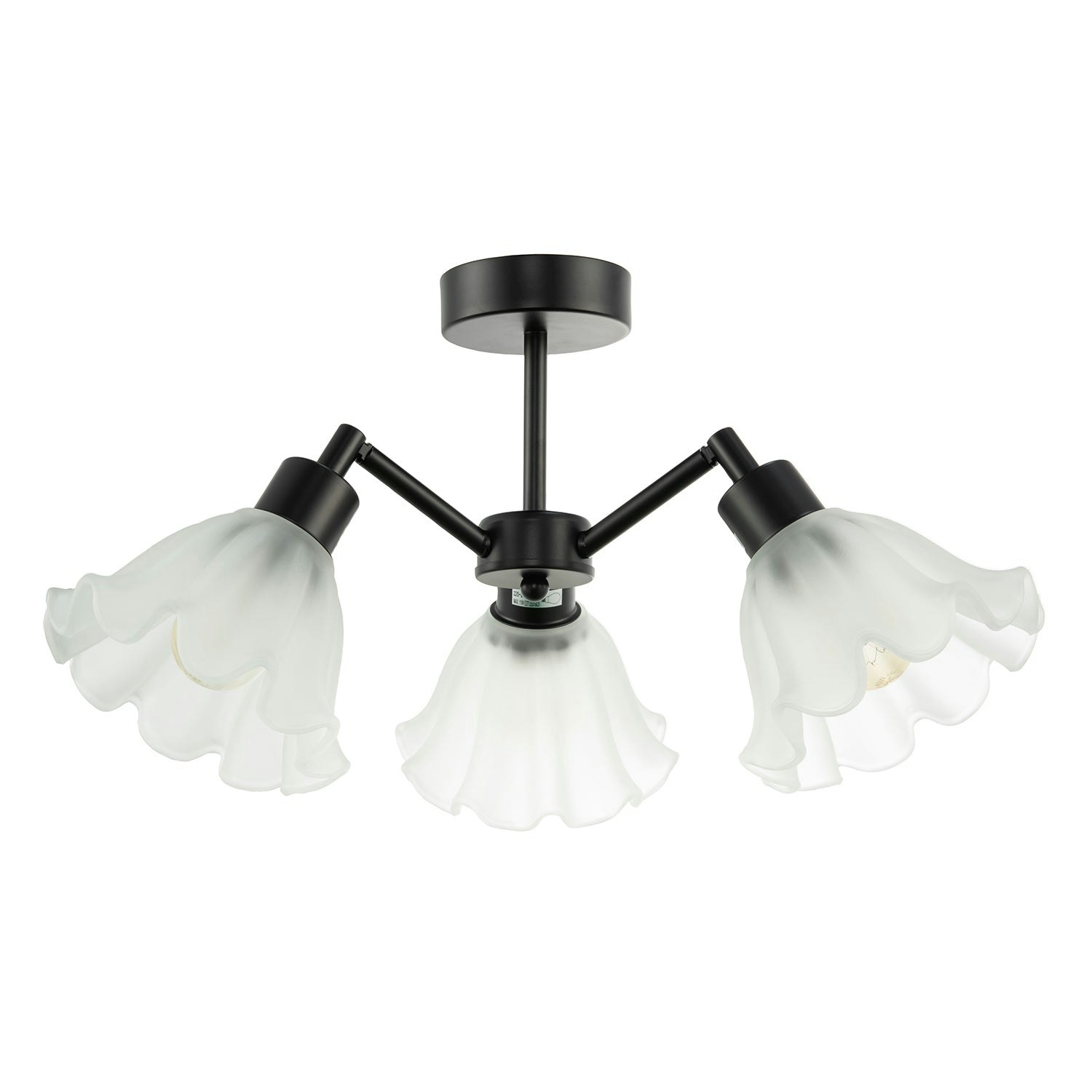 Happy Homewares Black/Light Traditional Ceiling With Frosted Scallop Glass Shades