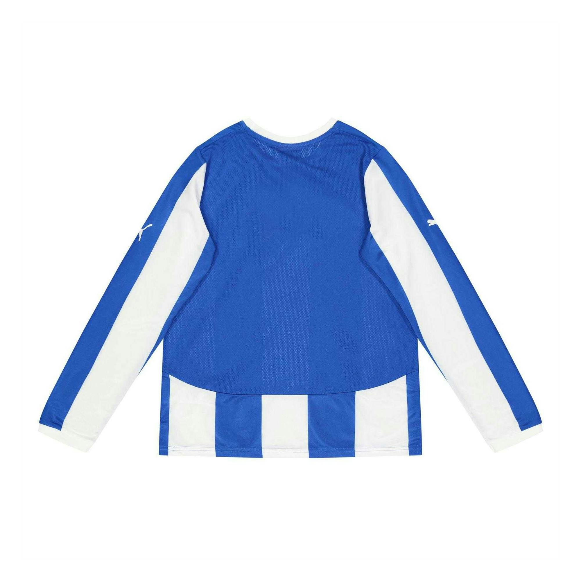 Puma Blue Kids Long-Sleeved Training Jersey - 14 Years - 100% Polyester