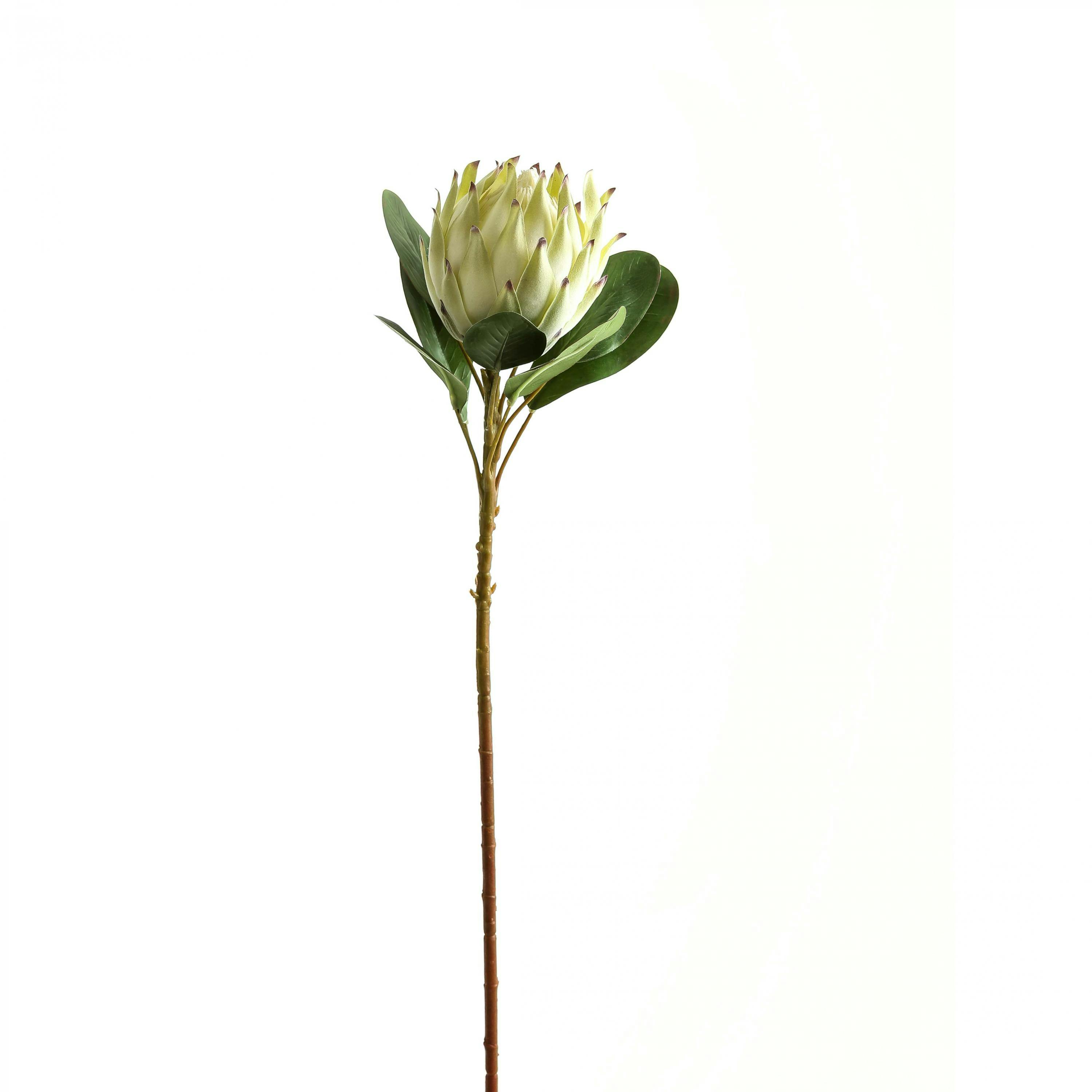 Hill Interiors White Protea Protea Artificial Flower - One Size