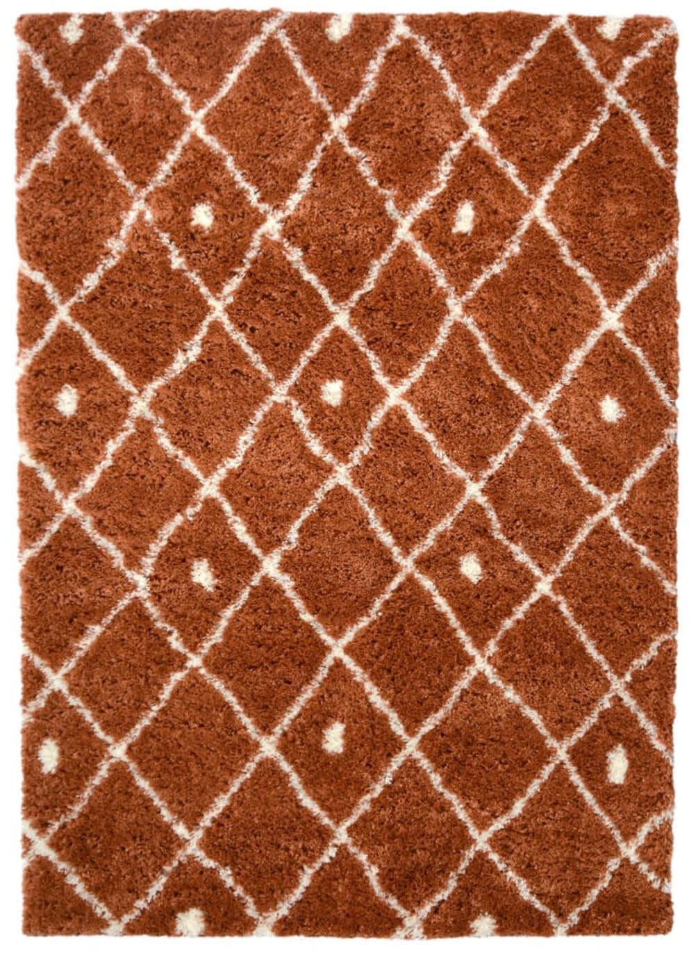 The Rugs Snug Nomadic Terra Shaggy Rug - 120X170 Cm