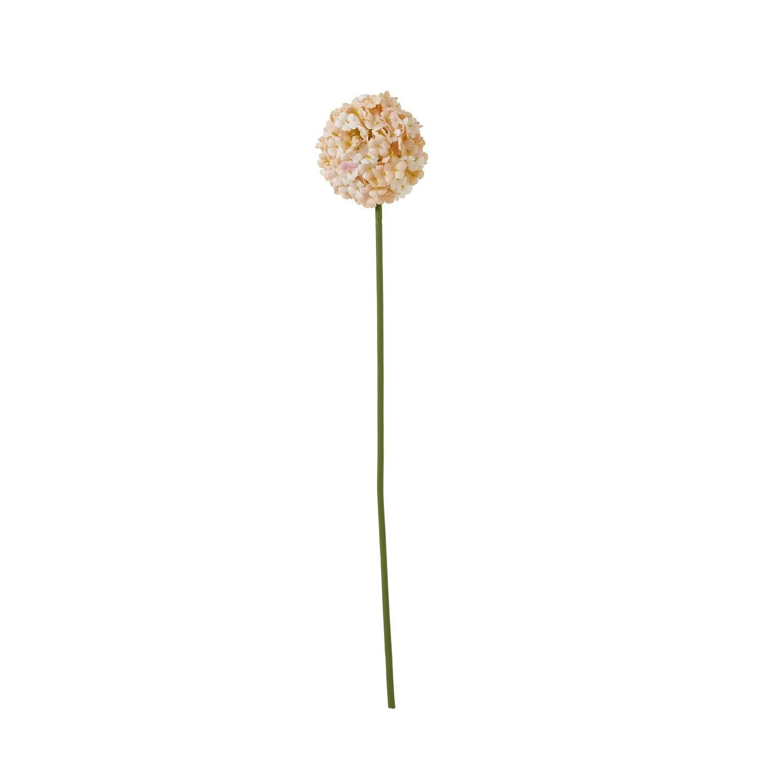 Hill Interiors White The Natural Garden Collection Allium Artificial Flower - Apricot/ - One Size