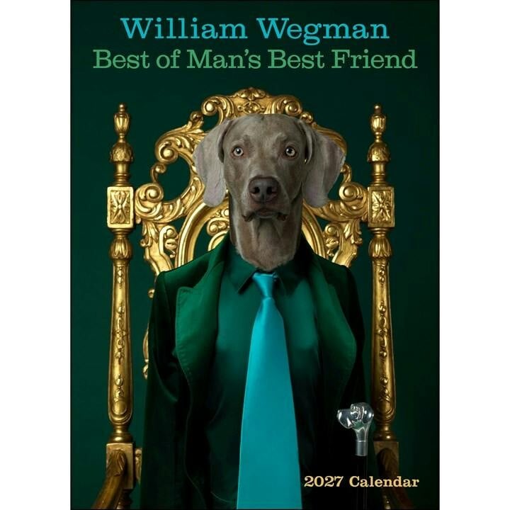 Best Of Man's Best Friend 2027 Wall Calendar William Wegman - Image 9