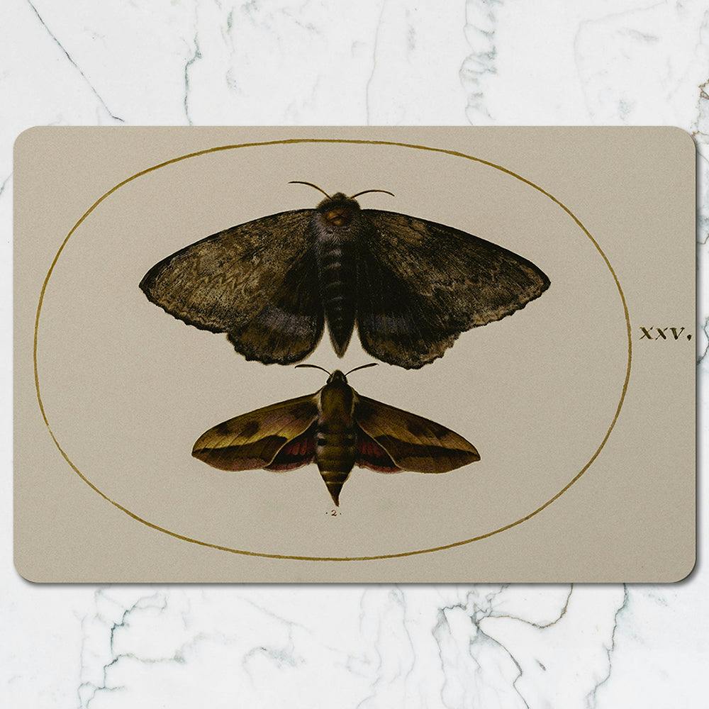 Benjamin Tate Design Placemat Coaster Set For Dining Table Protection And Style