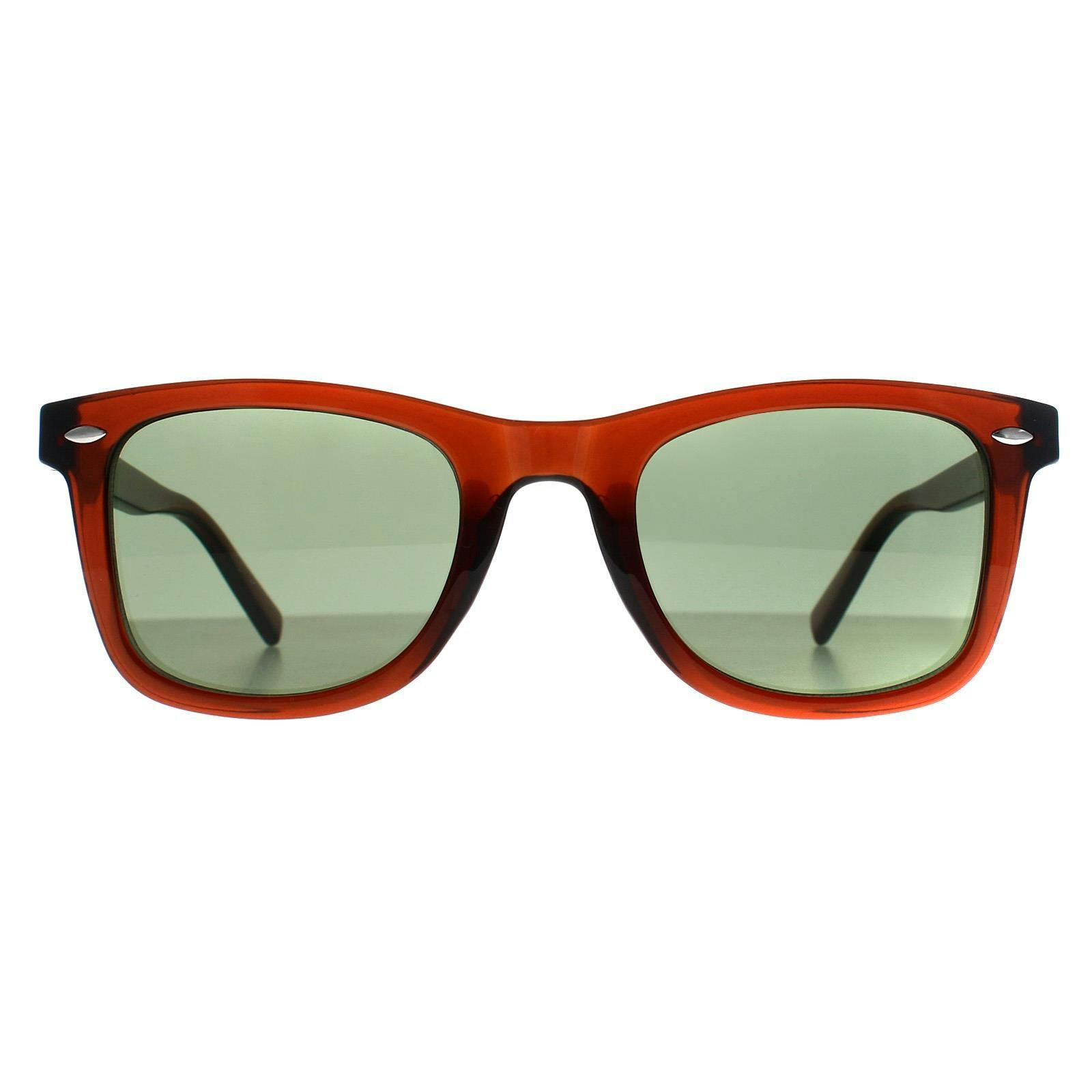 Calvin Klein Brown/Green Sunglasses Ck22555s 210 Transparent