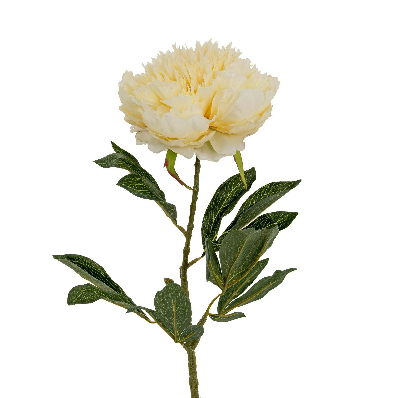 Hill Interiors Cream Double Peony Artificial Plant - /Buttermilk - One Size