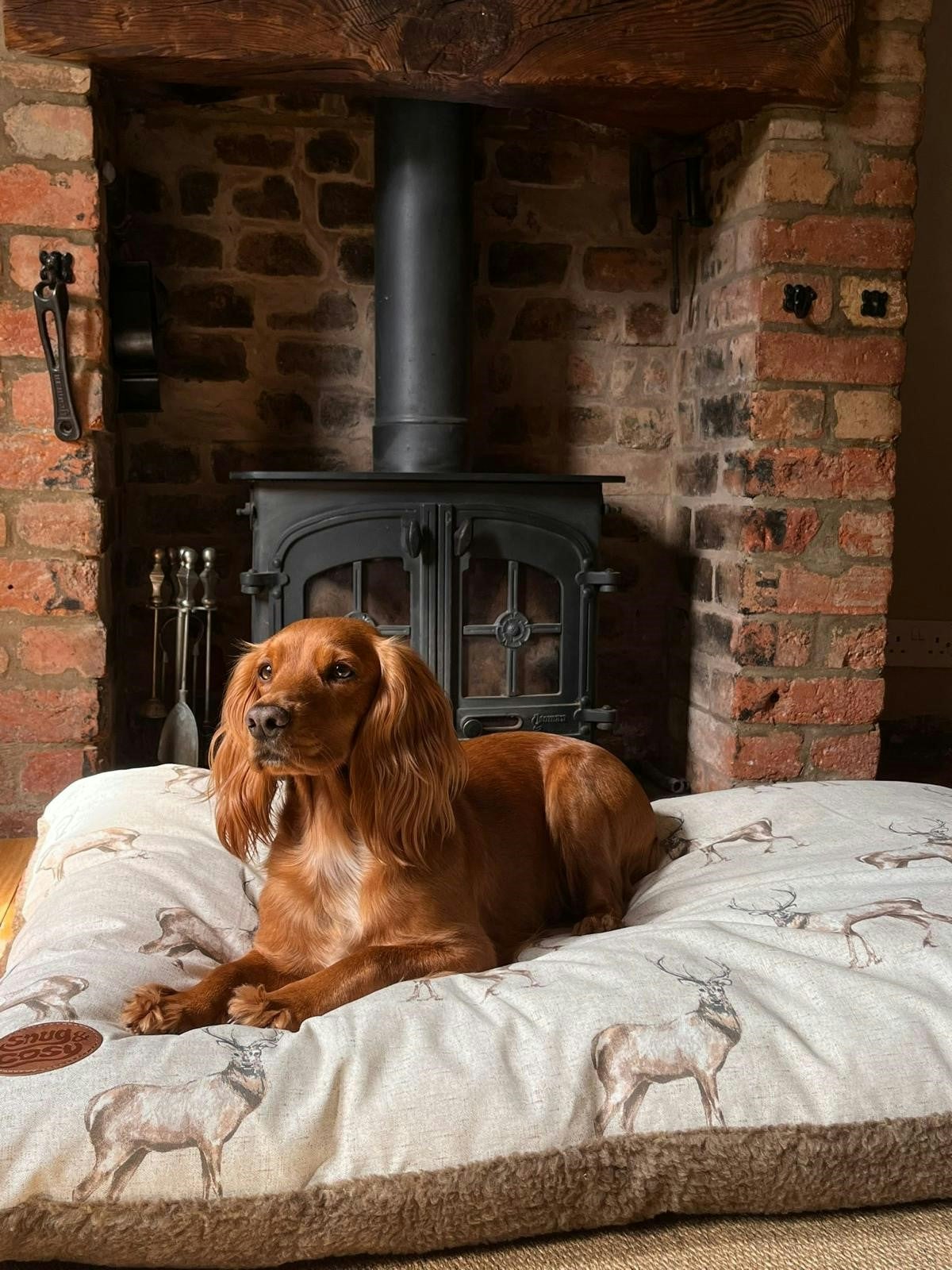 Snug And Cosy Pets Moorland Stag Lounger - 90 X 60 Cm