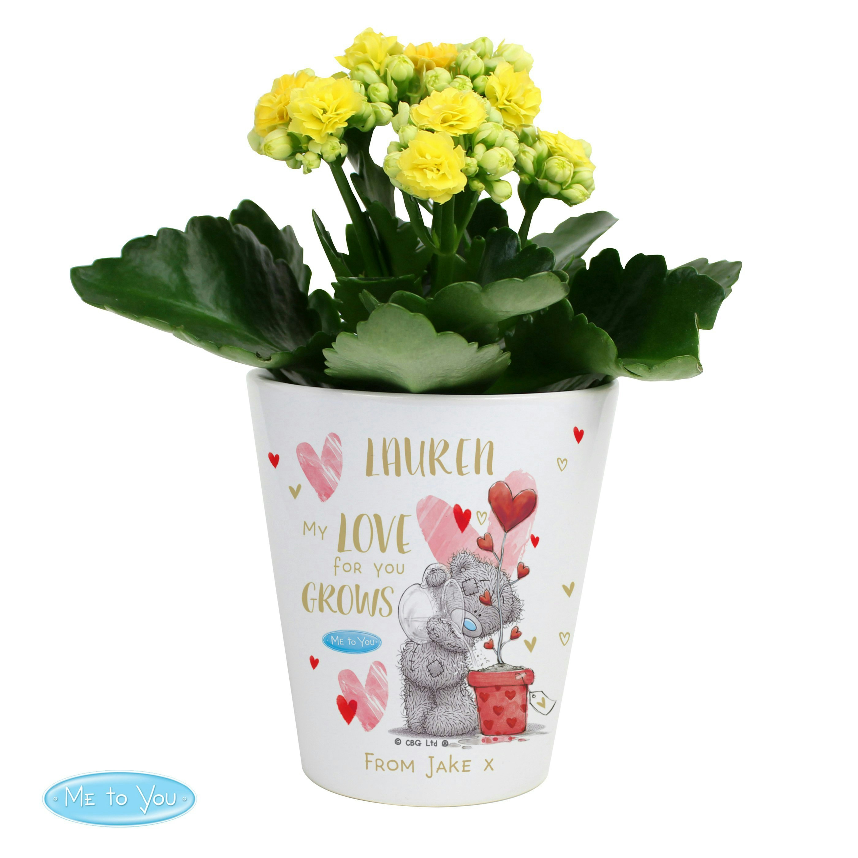 Rackhams Personalised Me To You Love Grows Plant Pot
