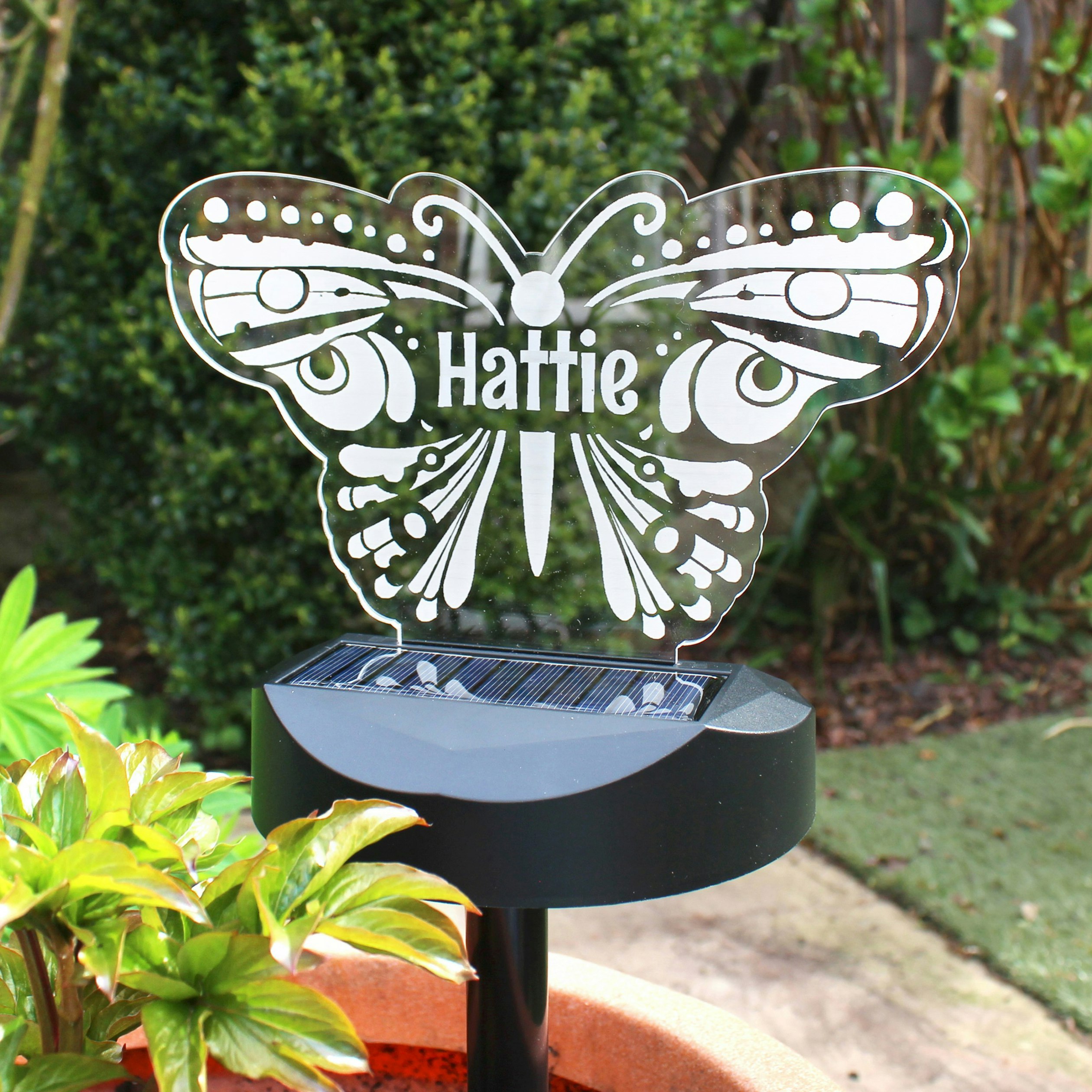 Personalised Memento Company Light Personalised Butterfly Solar