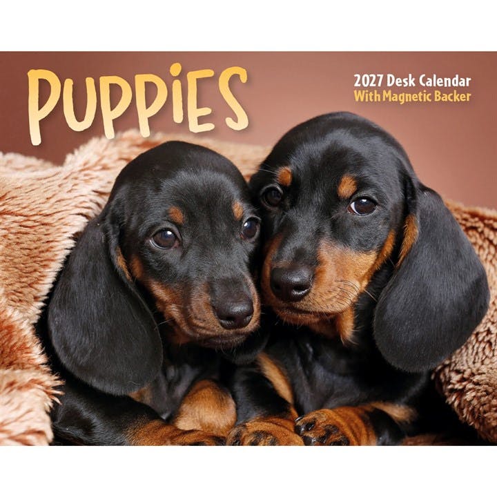 Light Puppies Mini Desk Calendar 2027, Desk Calendars, Day To View, Dogs, Gift