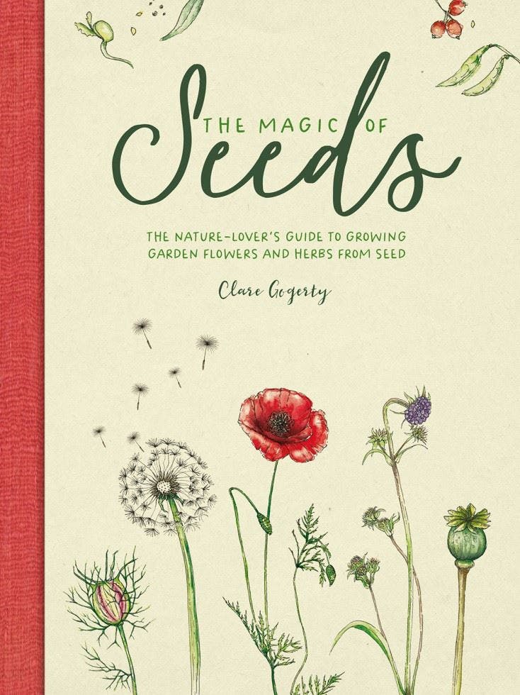 The Magic of Seeds by Clare Gogerty HARDBACK - Image 9