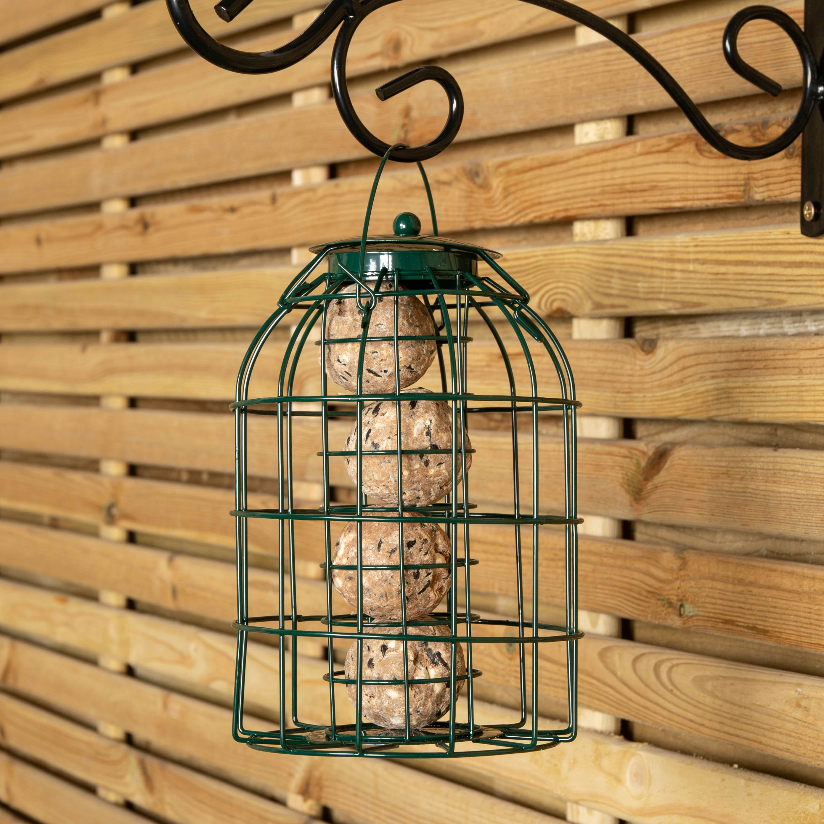 Samuel Alexander Metal Hanging Bird Fat Ball Feeder With Squirrel Guard 27Cm X 16Cm