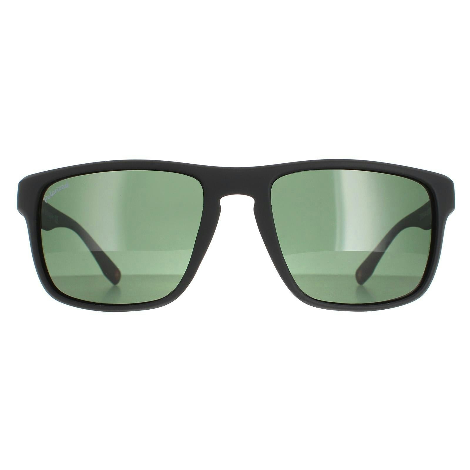 Montana Men's Black Sp314 Matte Sunglasses
