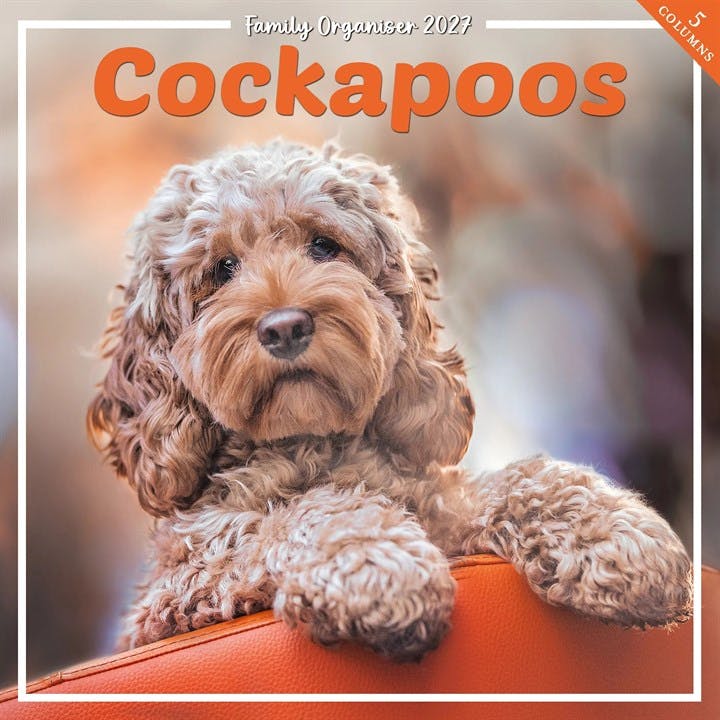 Rackhams Cockapoo Family Organiser 2027, Family Planners, Month To View, Dogs, Gift