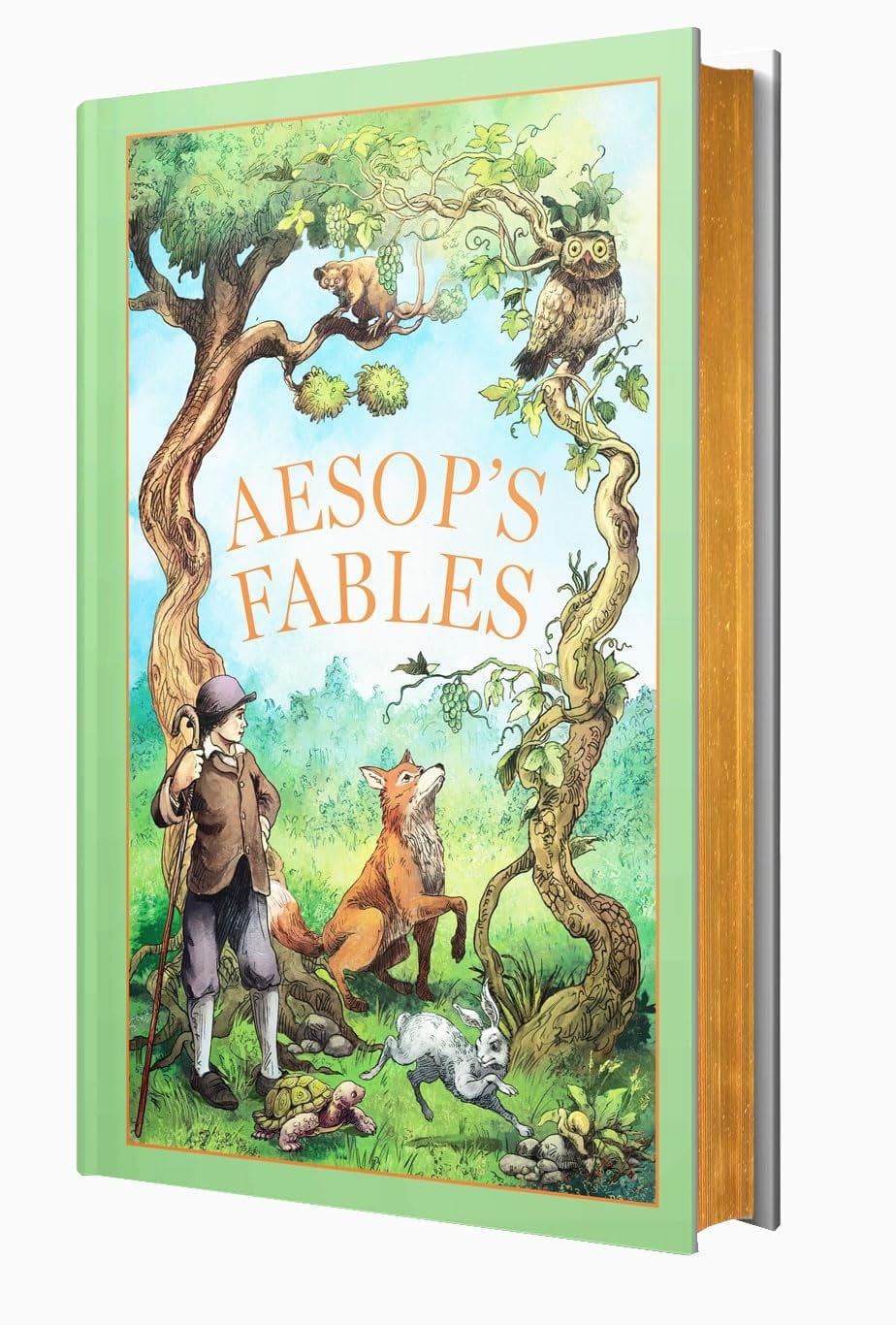 Aesops Fables (Leather Bound/Hardback Book) | Aesop NEW - Image 7