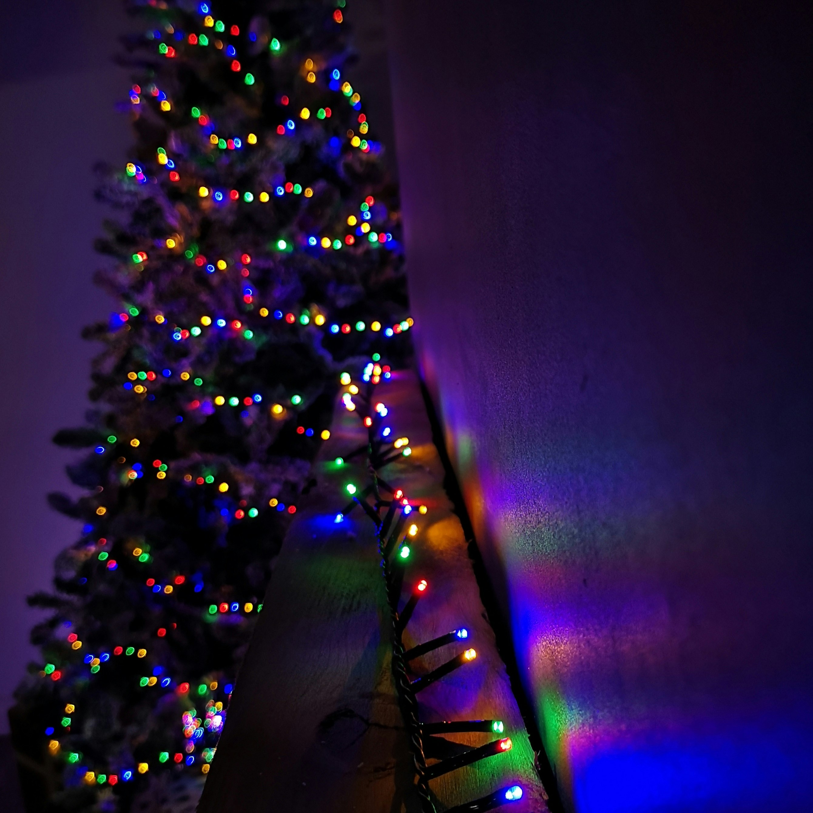 Samuel Alexander 6m Christmas String Lights - 240 LEDs - Multi-Coloured - Image 3