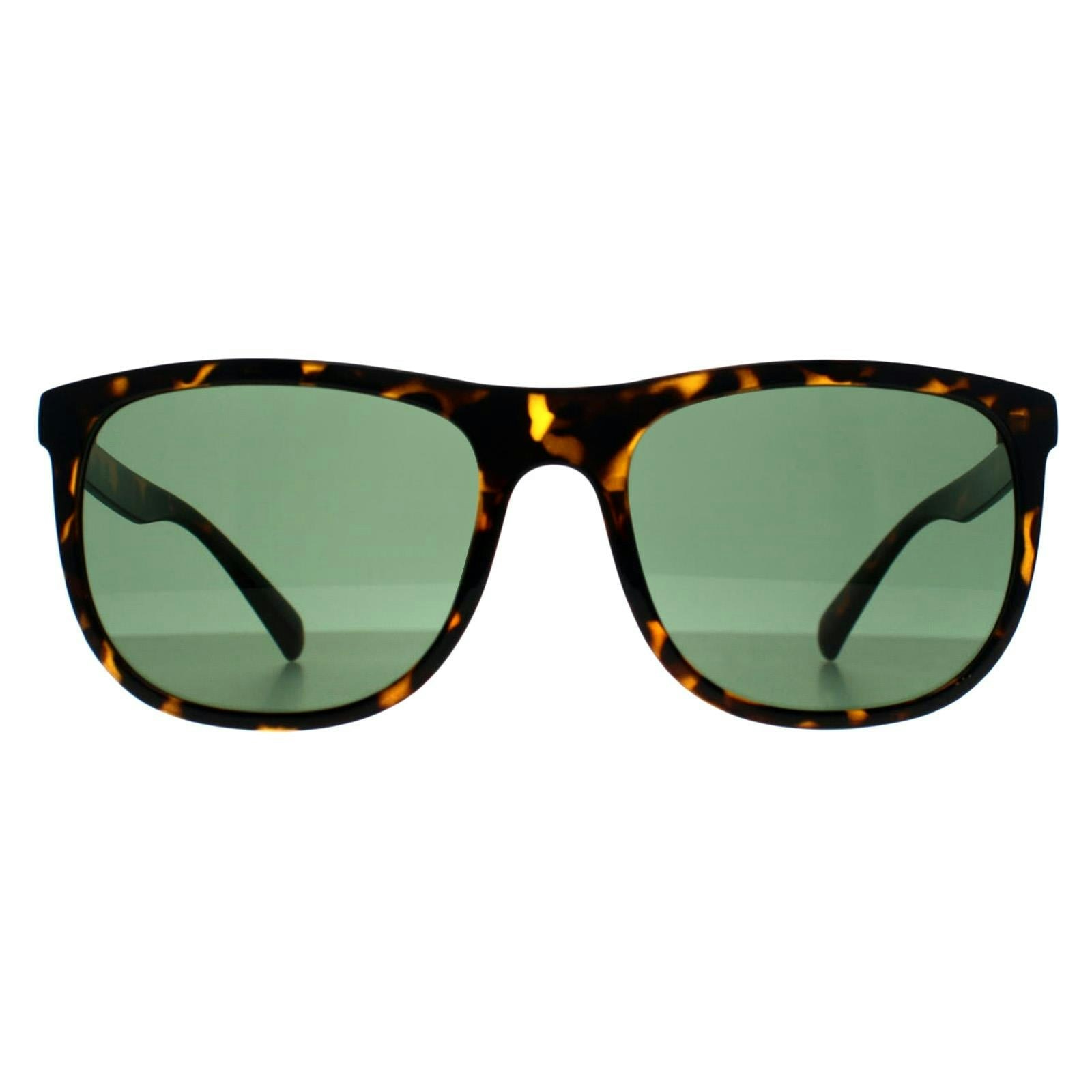 Calvin Klein Green Sunglasses Ck22557s 240 Shiny Havana