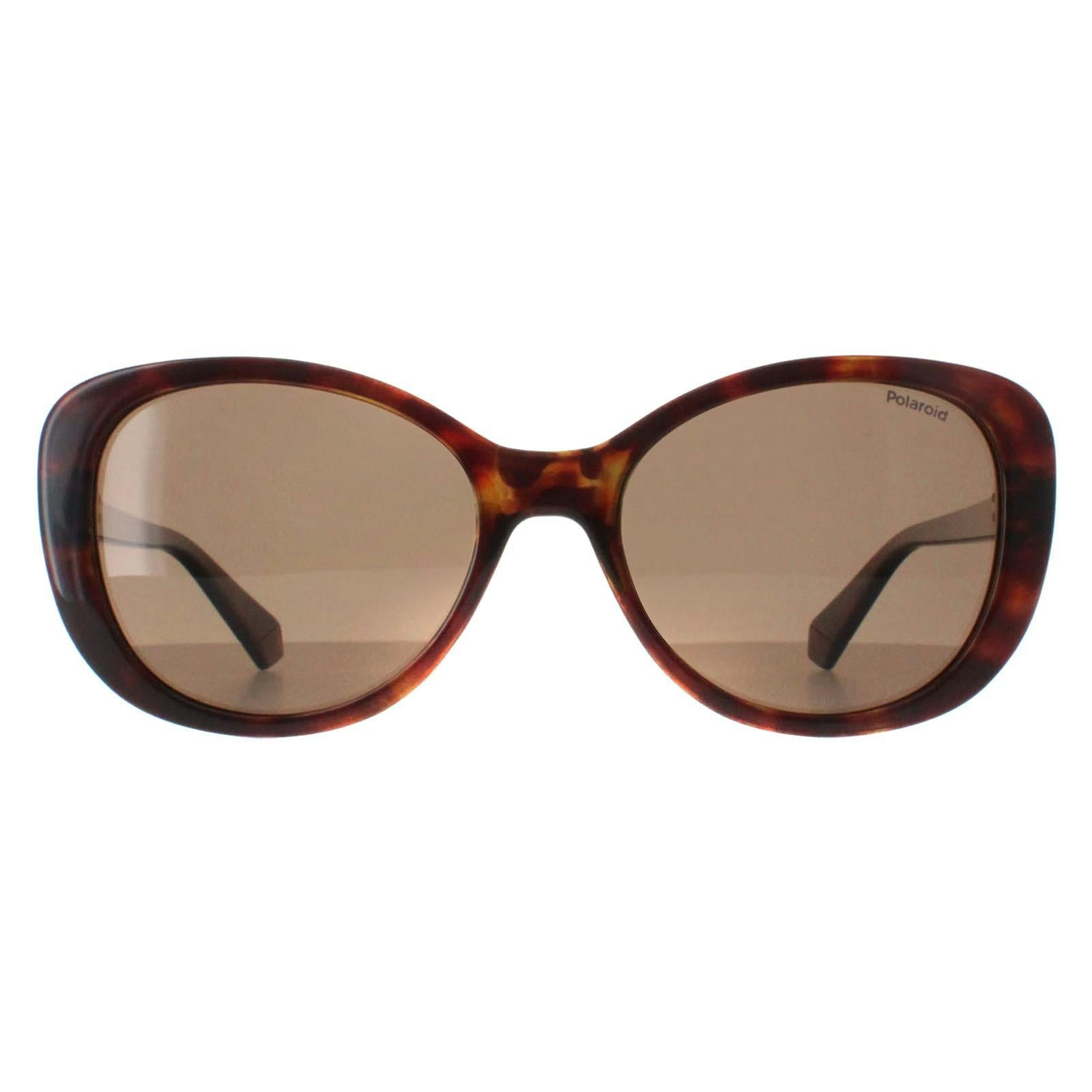 Polaroid Bronze Sunglasses Pld 4154/S/X 086 Sp Havana Polarized